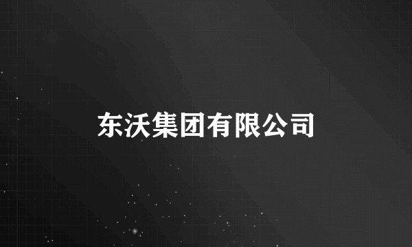 东沃集团有限公司
