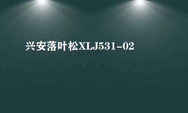兴安落叶松XLJ531-02