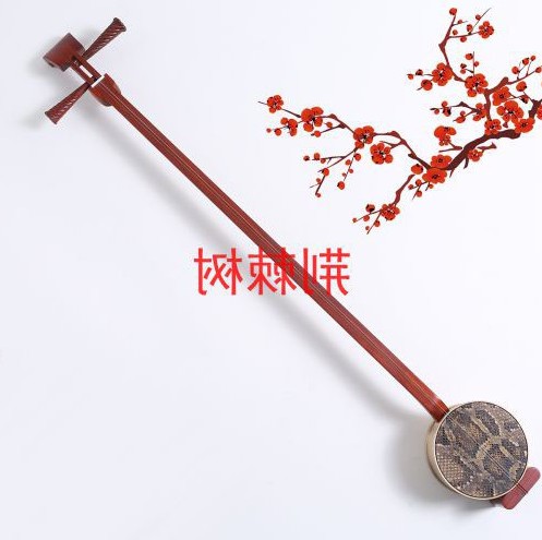 雷琴(民族拉弦乐器)