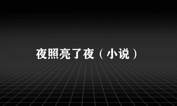 夜照亮了夜（小说）