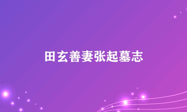田玄善妻张起墓志