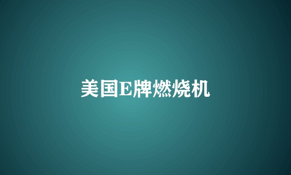 美国E牌燃烧机