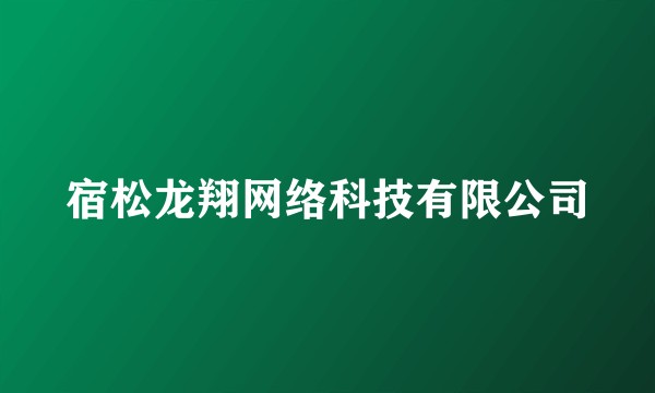 宿松龙翔网络科技有限公司