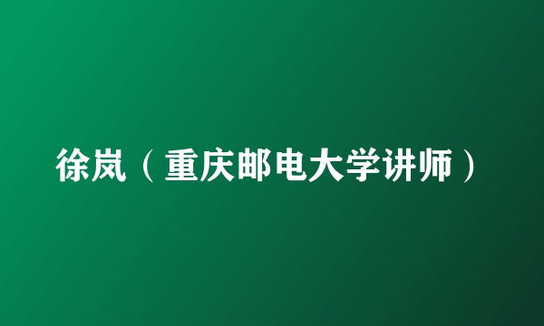 徐岚（重庆邮电大学讲师）