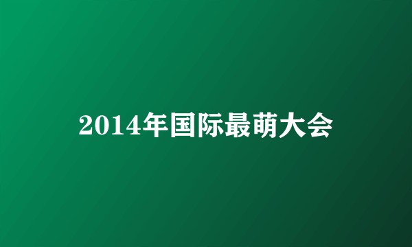 2014年国际最萌大会