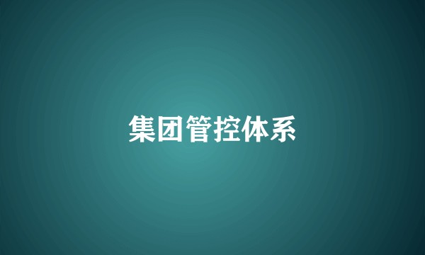 集团管控体系