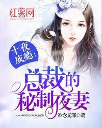 十夜成瘾:总裁的秘制夜妻