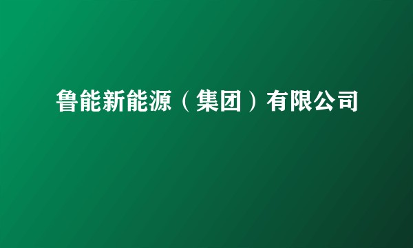 鲁能新能源(集团)有限公司