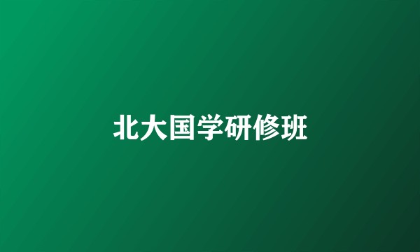 北大国学研修班