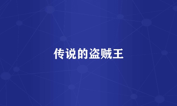 传说的盗贼王