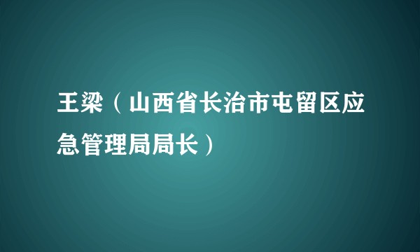 王梁（山西省长治市屯留区应急管理局局长）
