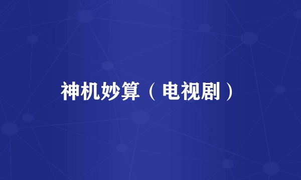神机妙算（电视剧）