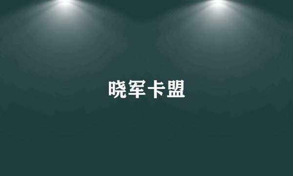 晓军卡盟