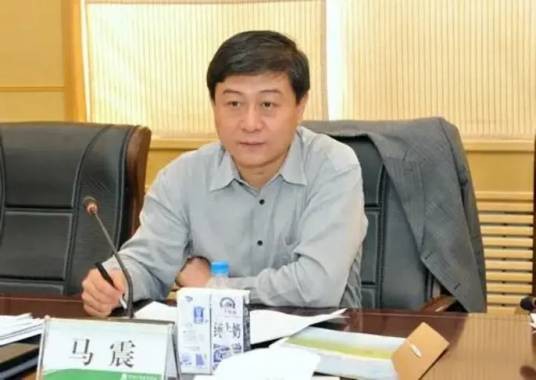马震(中央机构编制委员会办公室副主任)