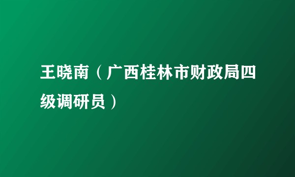 王晓南（广西桂林市财政局四级调研员）