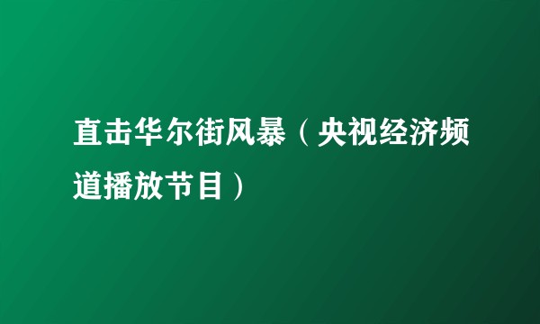 直击华尔街风暴（央视经济频道播放节目）