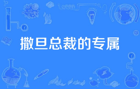 撒旦总裁的专属(花初薰所著小说)