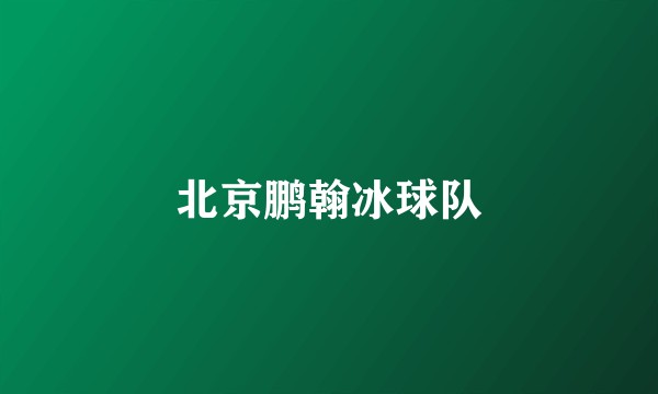 北京鹏翰冰球队