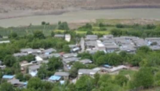 卓村（西藏林芝市朗县洞嘎镇辖行政村）