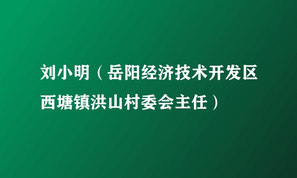 刘小明(岳阳经济技术开发区西塘镇洪山村委会主任)
