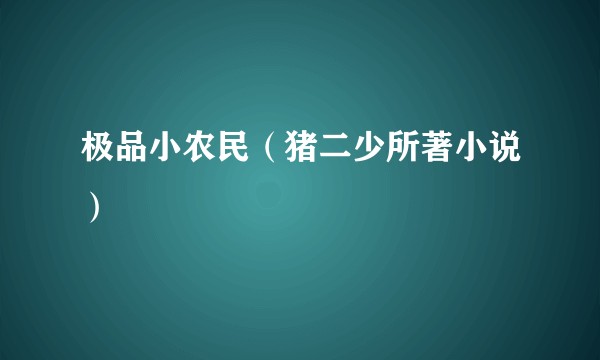 极品小农民（猪二少所著小说）