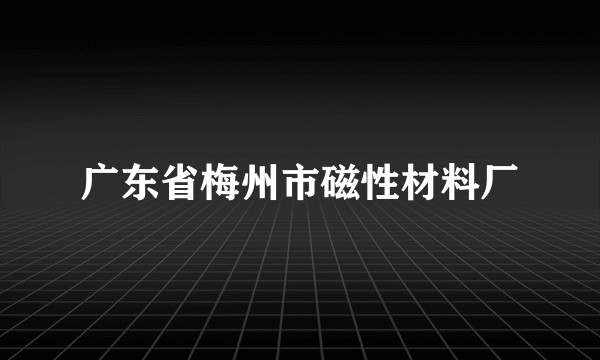 广东省梅州市磁性材料厂