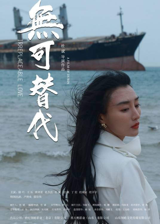 无可替代(杜斌执导的院线电影)