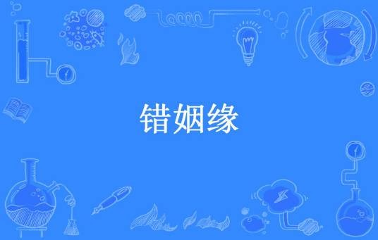 错姻缘（王小偲所著小说）