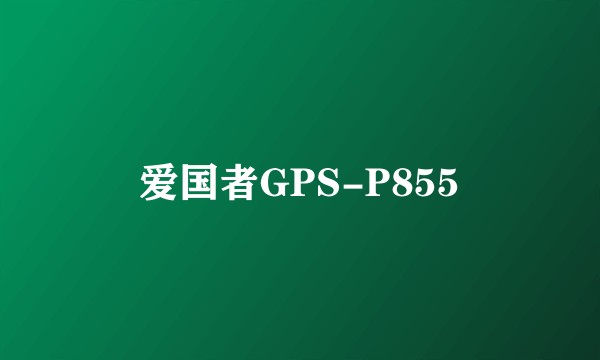 爱国者GPS-P855