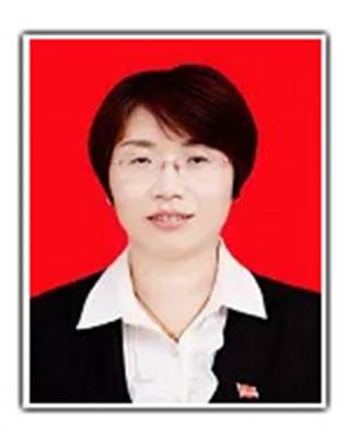 李丽云（甘肃省平凉市灵台县委常委、统战部部长、县政协党组副书记）
