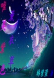 唯美紫色薰衣草