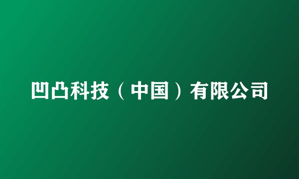 凹凸科技(中国)有限公司