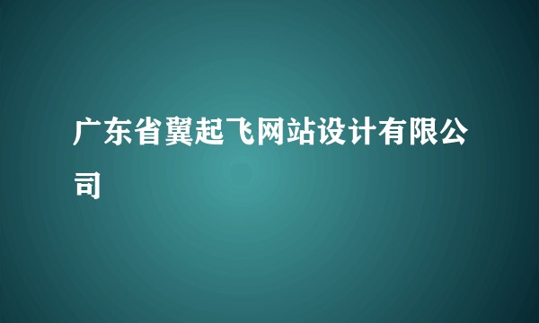 广东省翼起飞网站设计有限公司