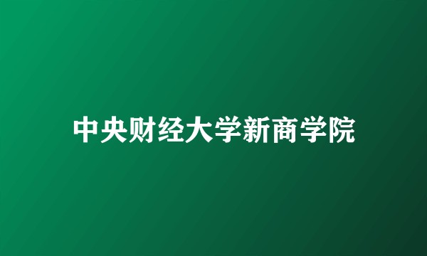 中央财经大学新商学院