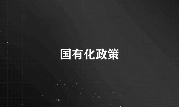 国有化政策