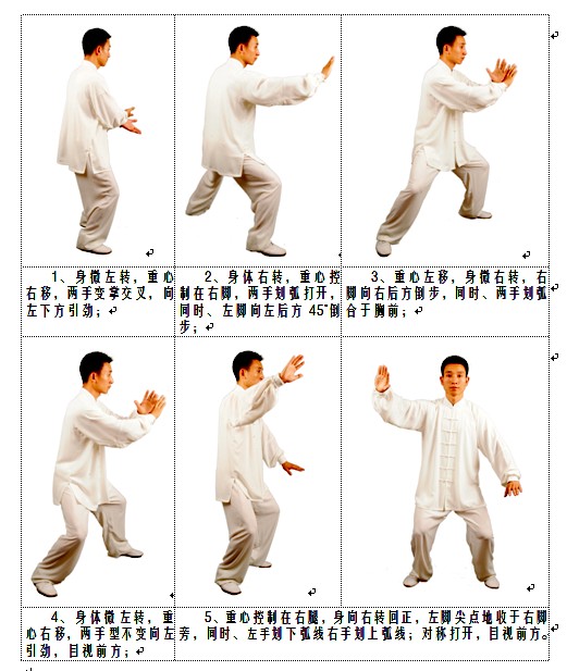 白鹤晾翅