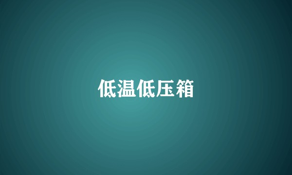 低温低压箱
