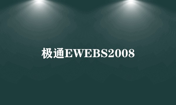 极通EWEBS2008