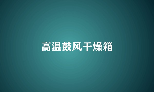 高温鼓风干燥箱
