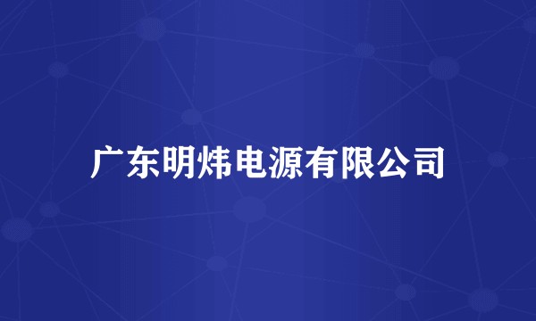 广东明炜电源有限公司