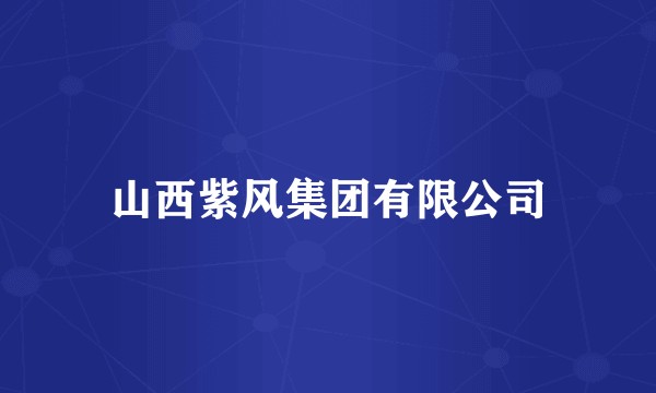山西紫风集团有限公司