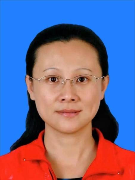 蔡欣（第十四届全国政协委员，天津市第一轻工业学校美术与电商教学部教师）
