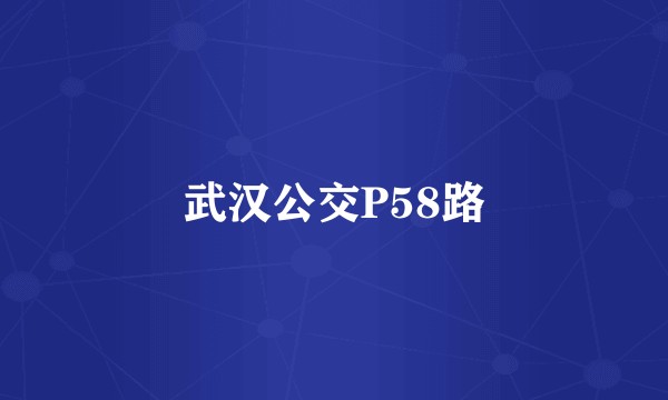 武汉公交P58路