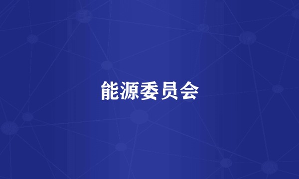 能源委员会