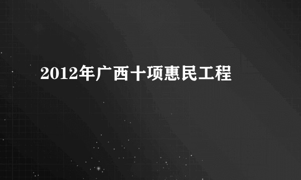2012年广西十项惠民工程