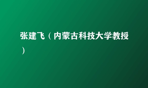 张建飞（内蒙古科技大学教授）