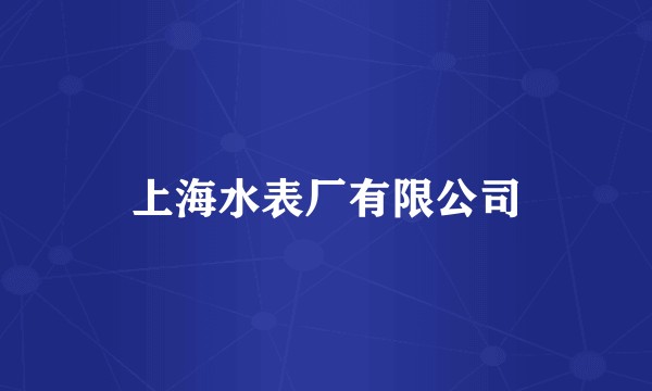 上海水表厂有限公司