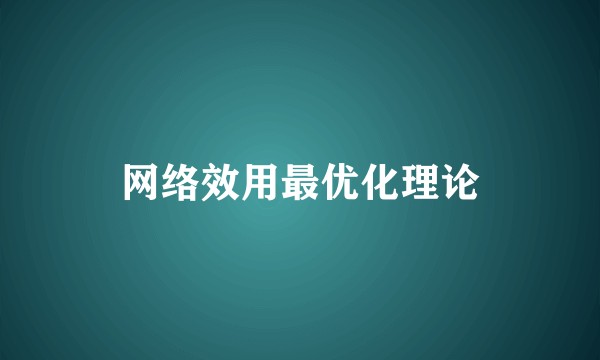网络效用最优化理论