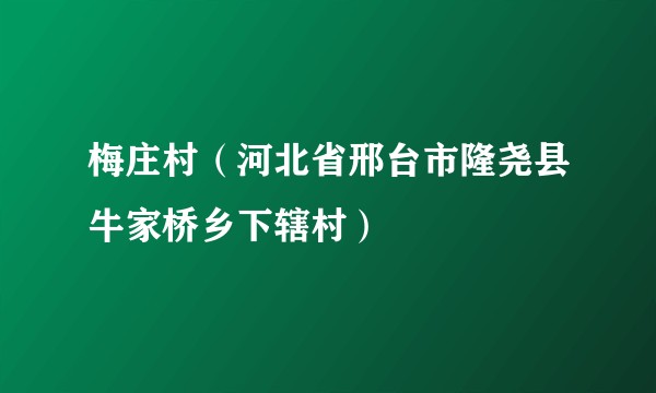 梅庄村（河北省邢台市隆尧县牛家桥乡下辖村）