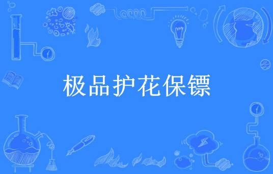 极品护花保镖（竹管所著小说）